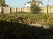 Satılır 6 sot torpaq Novxanı