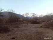 Satılır 45 sot torpaq Qəbələ