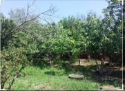 Satılır 6 sot torpaq Qəbələ