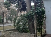 Satılır 2 otaqlı 50 m2 köhnə tikili Montin