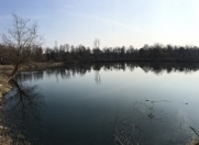 Satılır 200 sot torpaq Balakən