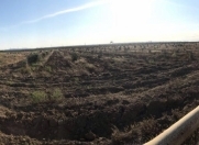 Satılır 100 sot torpaq Binə