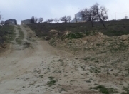 Satılır 19 sot torpaq Saray