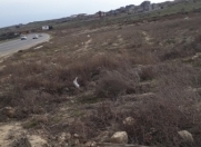 Satılır 11 sot torpaq Masazır