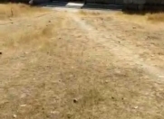 Satılır 25 sot torpaq Albalı