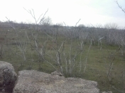 Satılır 14 sot torpaq 6 mkr