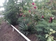 Satılır 5 sot torpaq Lənkəran