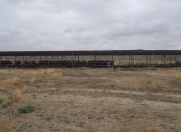 Satılır 250 sot torpaq Perekeşkül