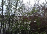 Satılır 2 otaqlı 41 m2 həyət evi Hökməli