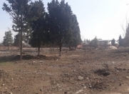 Satılır 150 sot torpaq Gəncə