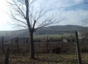 Satılır 51 sot torpaq İsmayıllı