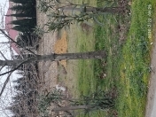 Satılır 12 sot torpaq Novxanı