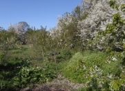 Satılır 23 sot torpaq Quba