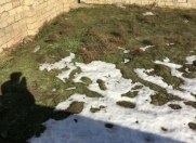 Satılır 3 sot torpaq Masazır