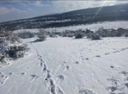 Satılır 18 sot torpaq Quba