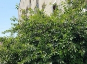 Satılır 4 otaqlı 100 m2 köhnə tikili Badamdar