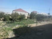 Satılır 5 sot torpaq Saray
