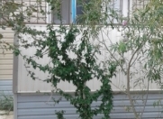 Satılır 2 otaqlı 56 m2 yeni tikili Məhəmmədli