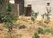 Satılır 5 otaqlı 242 m2 həyət evi Masazır