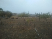 Satılır 1.3 sot torpaq Şamaxı