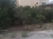 Satılır 6 sot torpaq Badamdar