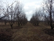 Satılır 89 sot torpaq Quba