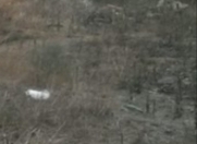 Satılır 2 sot torpaq Müşfiqabad