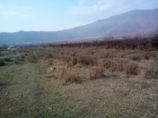 Satılır 28 sot torpaq Zaqatala