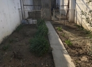 Satılır 10 sot torpaq Novxanı