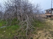 Satılır 4 sot torpaq Maştağa