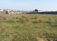 Satılır 50 sot torpaq Maştağa