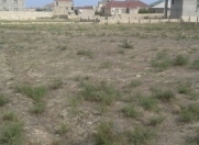 Satılır 12 sot torpaq Saray