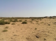 Satılır 23 sot torpaq Ləhic Bağları