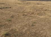 Satılır 15 sot torpaq Sumqayıt