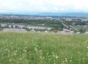 Satılır 16 sot torpaq Quba