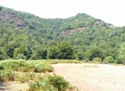 Satılır 2 sot torpaq Qəbələ