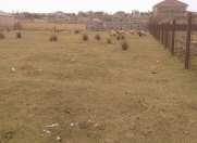 Satılır 10 sot torpaq Novxanı