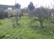 Satılır 10 sot torpaq Maştağa