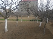 Satılır 10 sot torpaq Buzovna