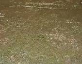 Satılır 10 sot torpaq Perekeşkül