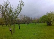 Satılır 2 sot torpaq Əhmədli