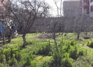 Satılır 2 sot torpaq Əhmədli