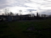 Satılır 8 sot torpaq Qəbələ