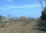 Satılır 100 sot torpaq Nardaran