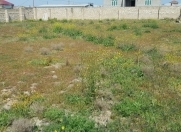 Satılır 12 sot torpaq Zirə