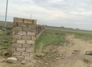 Satılır 4300 sot torpaq Saray