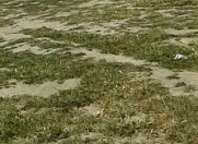 Satılır 2 sot torpaq Saray