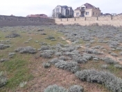 Satılır 13 sot torpaq Badamdar