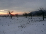 Satılır 82 sot torpaq Qəbələ