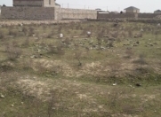 Satılır 12 sot torpaq Xaşaxuna